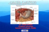 Dr. Jorge ymaya Cirujano oncologo Catedra oncologia, … · la Japanese Research Society for Gastric Cancer . Diagnóstico ... CANCER GASTRICO Avanzado Author: MAURICIO ERNESTO OCHOA