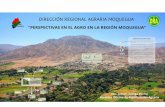 Diapositiva 1 - Banco Central de Reserva del Perú · Fuente: Instituto National de Estadistica e Informática - IV Censo National Agropecuario . MOQUEGUA: UNIDADES AGROPECUARIAS,