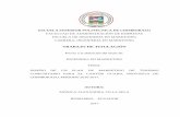 TRABAJO DE TITULACIÓN - DSpace ESPOCH.: …dspace.espoch.edu.ec/bitstream/123456789/6794/1/42T00419.pdf · 2017-07-10 · Análisis del micro entorno del cantón guano ... Análisis