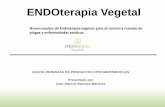 Nuevo equipo de Endoterapia vegetal, para el control y ...fitos.iqs.edu/documentacion/files/JMBarroso.pdf · ENDOterapia Vegetal es una SME especializada en el desarrollo de técnicas