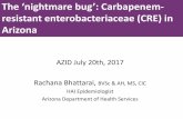 The ‘nightmare bug’: Carbapenem- resistant ...€¦ · Providencia spp. Morganella spp. Proteus spp. Citrobacter spp. Escherichia spp. Serratia spp. Enterobacter spp. Klebsiella