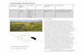 Soda Lake Watershed - SLO Watershed Project€¦ · Vernal pools are present on the plain floor, ... Russian thistle (Salsola tragus ... Watershed Management Plan Phase 1 Soda Lake