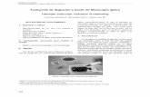 Evaluación de deglución a través de fibroscopía óptica12).pdf · Una de las condiciones para realizar la evalua-ción de deglución con endoscopio flexible de fibra óptica (nasofibroscopio),