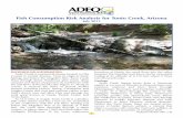 Fish Consumption Risk Analysis for Tonto Creek, … · Fish Consumption Risk Analysis for Tonto Creek, Arizona July 2011 BACKGROUND INFORMATION Tonto Creek is a perennial stream located