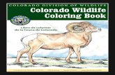 Libro de colorear de la Fauna de Colorado - cpw.state.co.us · penachos y grandes ojos dorados. Great horned owls have feathery ear tufts and large golden eyes. A pesar de su nombre,