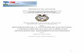 REPUBLICA DEL ECUADOR - Repositorio Digital …repositorio.iaen.edu.ec/bitstream/24000/214/1/IAEN-012... · 2018-04-18 · 4.1 Conclusiones 82-85 ... 7 ETANO: Hidrocarburo alifático