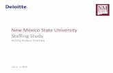 New Mexico State University Staffing Studystaffingstudy.nmsu.edu/wp-content/uploads/sites/77/2015/07/NMSU... · New Mexico State University Staffing Study. Activity Analysis Overview.