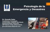 La relevancia de la psicología de emergencia y desastres ...salud.sgc.udhvirtual.com/doc/HUANUCO, PS EMERGENCIAS 2014.pdf · Psicología de la Emergencia y Desastres Experiencias