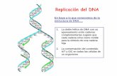 Replicación del DNA - gen5fq.files.wordpress.com · Replicación del DNA 1. La doble hélice de DNA con su apareamiento entre cadenas complementarias sugiere que cada cadena sirve