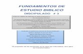 FUNDAMENTOS DE ESTUDIO BIBLICO - The …biblestudycd.com/pdf/Discipleship3(Spanish).pdf · La fuerza de este método es que se trata de una traducción palabra ... Entonces, ¿qué
