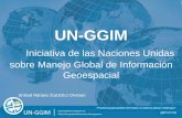 Iniciativa de las Naciones Unidas sobre Manejo Global de ...mundogeoconnect.com/2014/arquivos/palestras/7-maio-bc-monica... · Manejo Global de Información Geoespacial, solicitando