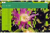 INVENTARIO DE ESPECIES VEGETALES Superficie: …ufut/downloads/inventario-especies-vegetales-2009-12... · Bauhinia púrpura, Pata de vaca púrpura Familia: Caesalpiniaceae 2 Reino: