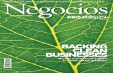backing clean businesses - ProMéxico · backing clean businesses Mexican private sector’s efforts in climate change mitigation ... michel rojkind Mexican Identity Under Construction