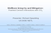 Wellbore Integrity and Mitigation Library/Events/2017/carbon-storage... · Wellbore Integrity and Mitigation: Foamed Cement Interactions with CO 2 Presenter: Richard Spaulding US