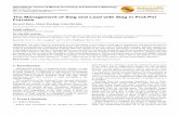 The Management of Slag and Lead with Slag in Prot …article.sciencepublishinggroup.com/pdf/10.11648.j.ijmpem.20160102... · The Management of Slag and Lead with Slag in Prot-Piri