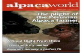 Alpacas + Norway: a perfect fit - Alpakka i Norge fra ... · A Peruvian adventure Alpacas + Norway: a perfect fit A Good Night from them The art of hand-crafting alpaca fibre duvets