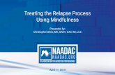Treating the Relapse Process Using Mindfulness - … · Using Mindfulness Presented by: Christopher Shea, MA, CRAT, CAC-AD, LCC ... Lifesjourney Life Coaching, LLCYour. Webinar Learning