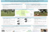 How Do Local Agro-Pastoralists Judge their Forage ... · Using quantitative ethnoecological approach in West ... Anthropac 4.0 and SPSS vs 23 ... their Forage Resources?: Using Quantitative