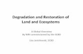 Degradation and Restoration of Land and Ecosystems … · Degradation and Restoration of Land and Ecosystems A Global Overview By WRI commissioned by the SCBD ... (GLASOD, Oldeman