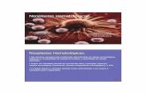Neoplasias Introd [Modo de Compatibilidade]files.fisiologica.webnode.com.br/200000087-192bd1a25b/UQM Mod 7.… · 17/03/2011 2 NormalNormal Neoplasia Neoplasia ÓbitoÓbito QQTT Neoplasias