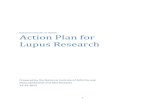 Action Plan for Lupus Research · Action Plan for Lupus Research Introduction Systemic lupus erythematosus (SLE, or lupus) is one of more than 80 known autoimmune diseases. An autoimmune