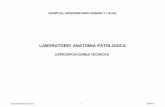LABORATORIO ANATOMIA PATOLOGICA · hospital universitario ramon y cajal especificaciones tecnicas laboratorio anatomia patologica especificaciones técnicas 1 2008-0-3