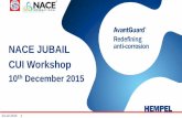 NACE JUBAIL CUI Workshopnace-jubail.org/Meetings/CUI_2015/8-HEMPEL-2.pdf · 24.12.2015 7 Two 3-coats systems with Primer 60µm, 45880 200µm and 55610, ISO 12944: C5 (1440h in SST),