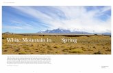 White Mountain in Spring - Cazú Zegers | Intro · White Mountain in Spring Chile has suffered more than its share of blows over the past decades. ... Mathias Klotz, whose work is