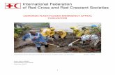 COMOROS FLASH FLOODS EMERGENCY …adore.ifrc.org/Download.aspx?FileId=40000&.pdfComoros Flash Floods Emergency Appeal Evaluation 7 2.0 BACKGROUND The CRCo was formed in 1982 and recognised