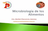 Dra. Maribel Plascencia Jatomea - qb.uson.mx Plascencia Jatomea... · Rastreo microbiológico en la planta de alimentos Análisis microbiológico de empaques. Planes y programas de