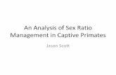 An Analysis of Sex Ratio Management in Captive Primates · Black-and-white ruffed lemur ( Varecia variegata ) Promiscous Male Male (P