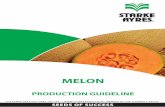 Melon Production Guideline 2014 - Starke Ayres · Cantaloupe melon is picked when physiologically mature and the flesh colour has reached a mid to deep orange. The flesh must be firm,