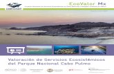 EcoValor Mxecovalor.mx/pdf/materiales/informes-tecnicos/ECO VALOR Mx_cabopu… · Laura Martinez Pepin Lehalleur Directora General de Desarrollo Institucional y Promoción – CONANP