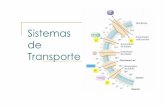 Sistemas de Transporte - depa.fquim.unam.mxdepa.fquim.unam.mx/amyd/archivero/U2b_Transporte_19597.pdf · El transporte activo se ha considerado una clase de ... Componentes del sistema