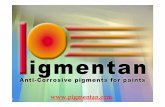 Pigmentan - Pigmentos Anti-corrosivos para tintas …€¦ · Pigmentan Background 9Pigmentan vision is to lead the anticorrosion inhibitors marketinhibitors market 9Privately owned