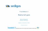 sedigas 20151104 v2 - onthemosway.eu · TrainMoS II Natural gas Marta Margarit General Secretary Madrid, November 2015 All rigths reserved