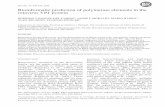 649-659, 2006 Bioinformatic prediction of polymerase ... · Bioinformatic prediction of polymerase elements in the rotavirus VP1 protein RODRIGO VÁSQUEZ-DEL CARPIO *, JAIME L MORALES,
