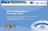 Documento Integrado Enrique Aguilar ... - agua.unam.mx · documento integrado ingenierÍa/recursos naturales/ciencias de la tierra ciencias biolÓgicas y ecologÍa ciencias sociales/economÍa/ciencias
