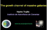 Nacho Trujillo Instituto de Astrofísica de Canarias · Size growth: In situ versus ex situ scenarios In situ Ex situ Puffing-up scenarios AGN activity Fan et al. 2008; 2010; Ragone-