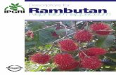 Descriptors for Rambutan (Nephelium lappaceum) · vii PREFACE Descriptors for Rambutan (Nephelium lappaceum) were developed by Drs Salma Idris, Felipe S. dela Cruz, Songpol Somsri