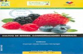 biblioteca.inia.clbiblioteca.inia.cl/medios/rayentue/boletines/NR38001.pdf · "Cultivo de berries: consideraciones generales" es un manual que reúne estudios de IS investigadores