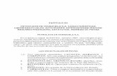 CAPITULO XV PETROLEOS DE VENEZUELA S.A. …ance.msinfo.info/bases/biblo/texto/libros/BC.1991.T.I.b.18.pdf · 1) Sistema Alterno de Suministro para el Area Metropoli ... 25,109, respectivamente,