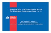Sistema HLA – Nomenclatura actual Rol biológico … nefrologia 2014... · Sistema HLA – Nomenclatura actual Rol biológico Antígenos Clase I y II. BQ. Alejandra Arenas C. Sección
