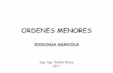727025481.ORDENES MENORES Noelia 2017 pagina.pdfecaths1.s3.amazonaws.com/zoologiaagricolaunt/727025481.ORDENES... · • Metamorfosis: Paurometabolia (Huevo – Ninfa C/A – Adulto)