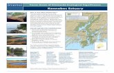 Kennebec Estuary - Maine Areas of Statewide Ecological Significance: Kennebec Estuary 5 the majority of the marsh, which is dotted with slightly de-pressed pools or pannes. Arrow-grass
