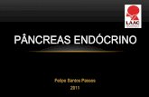Pâncreas Endócrino - files.laac-anatomia.webnode.com.brfiles.laac-anatomia.webnode.com.br/200000116-543fe553b2/Pâncreas... · PÂNCREAS EXÓCRINO •Secreção levada para intestino