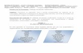 SERIE 1 PLANTAS MEDICINALES - Gobierno | gob.mxsep.gob.mx/work/models/sep1/Resource/7981/11/images... · Descripción del material: El catálogo de plantas medicinales, consta de