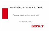TRIBUNAL DEL SERVICIO CIVIL - inst.servir.gob.peinst.servir.gob.pe/files/archivos/ProgramaEntrenamientoTSC-2012-08/... · PRECEDENTES ADMINISTRATIVOS DE OBSERVANCIA OBLIGATORIA 1.