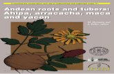 Andean roots and tubers - Bioversity International · 2 Andean roots and tubers: Ahipa, arracacha, maca and yacon The International Plant Genetic Resources Institute (IPGRI) is an
