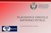 PLACENTA E CIRCOLO MATERNO FETALE - unife.it .tireotropina corionica umana